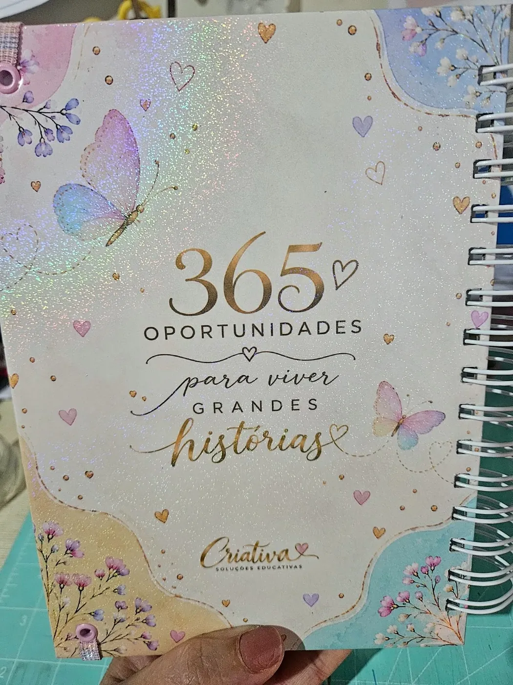 Agenda 2027 borboleta, contracapa
